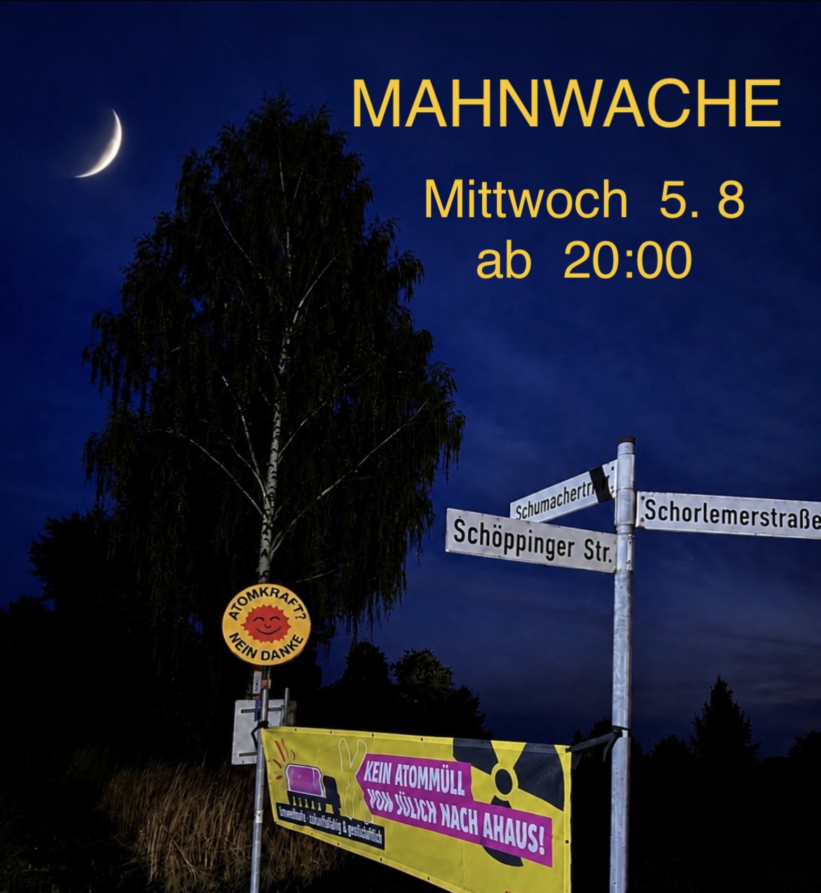 Das Bild zeigt ein Demo-Transparent der BI gegen CASTOR-Transporte an der Kreuzung Schorlemer Straße und Schumacherring.